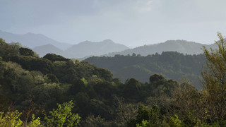 ツインルーム マウンテンビュー