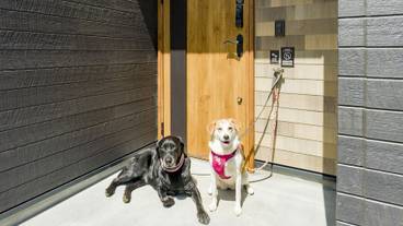 施設の入り口 / 9