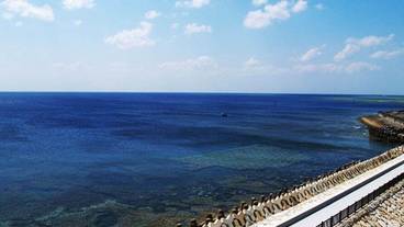 ビーチ / オーシャン ビュー / 9