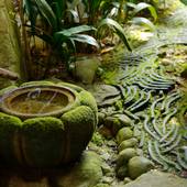 嬉野温泉 大正屋（佐賀県 旅館） / 3