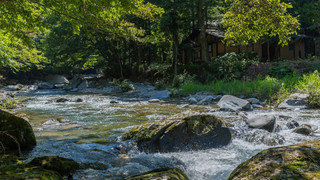 臥龍 離れ 禁煙