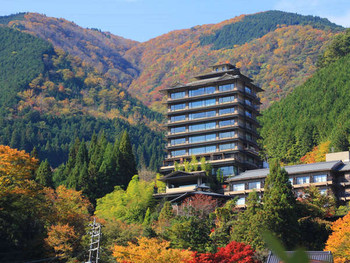 今宵天空に遊ぶ　しょうげつ846317