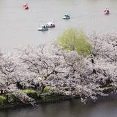 上野ステーションホステル オリエンタル 1（東京都 カプセルホテル） / 4