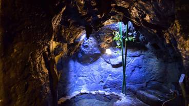 メイン イメージ / 1