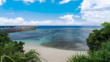 施設からの眺望 / 36