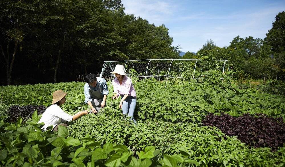 ファーマーズレッスン / 1