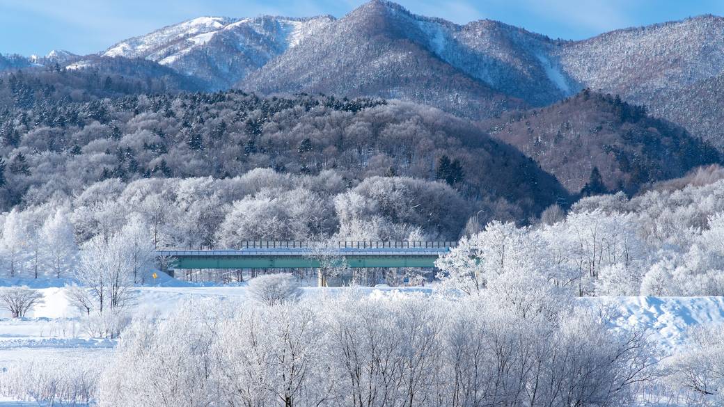 富良野の樹氷 / 4