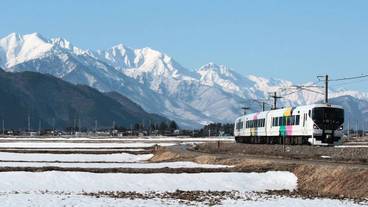 スノーシュー / 21