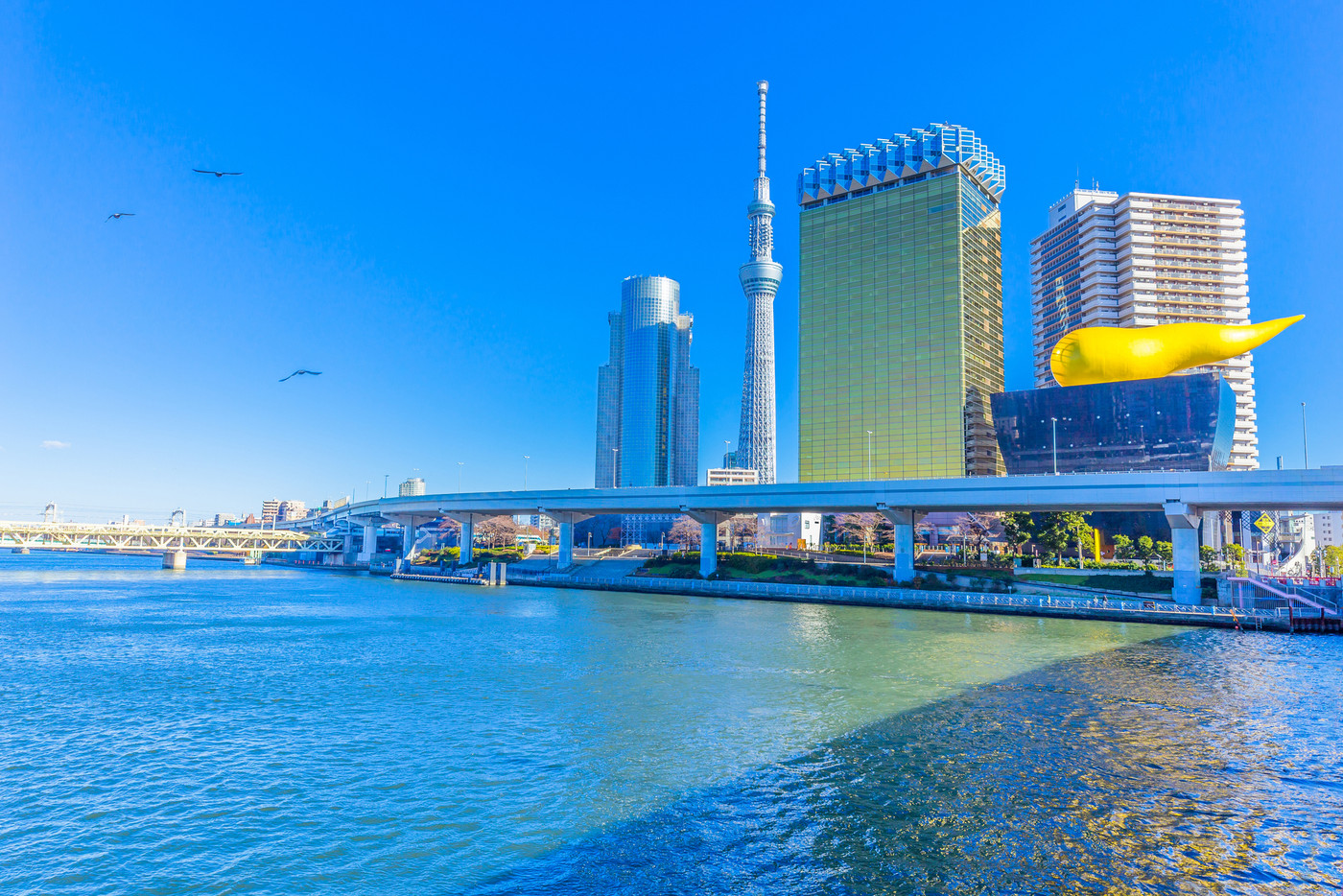 東京　浅草　隅田川とスカイツリー（吾妻橋より）