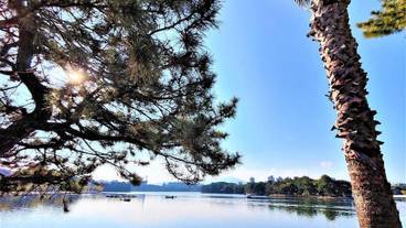 ランド ビュー / 9