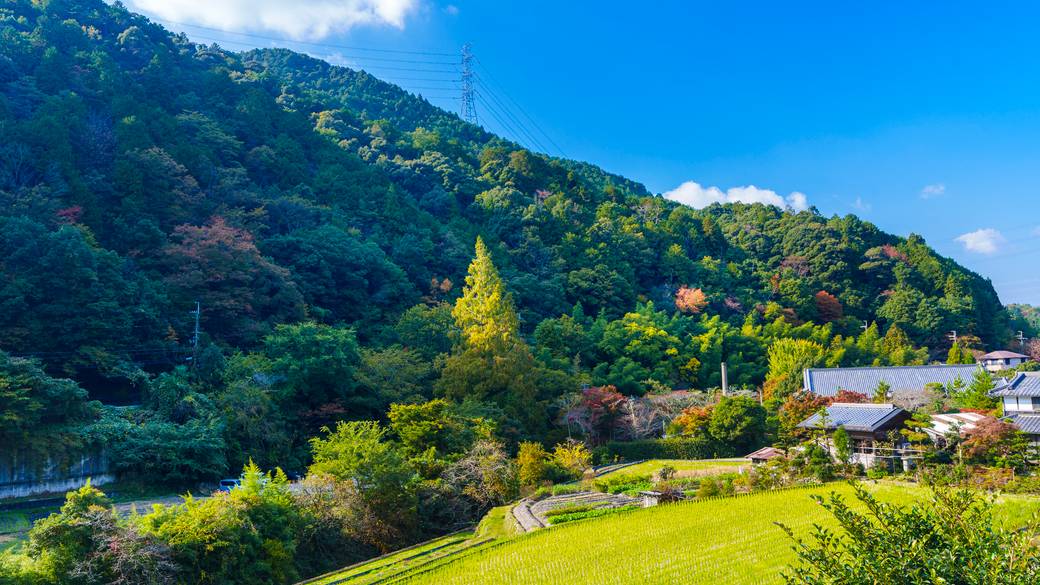 天見駅周辺の里山風景 / 1