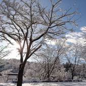 シェソワ ワカミヤ（岐阜県 ペンション） / 4