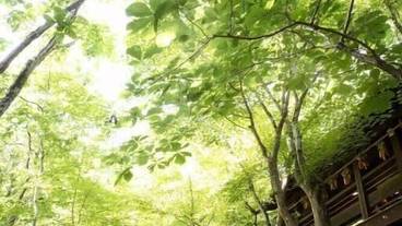 施設の敷地 / 27