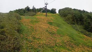 ランド ビュー / 6