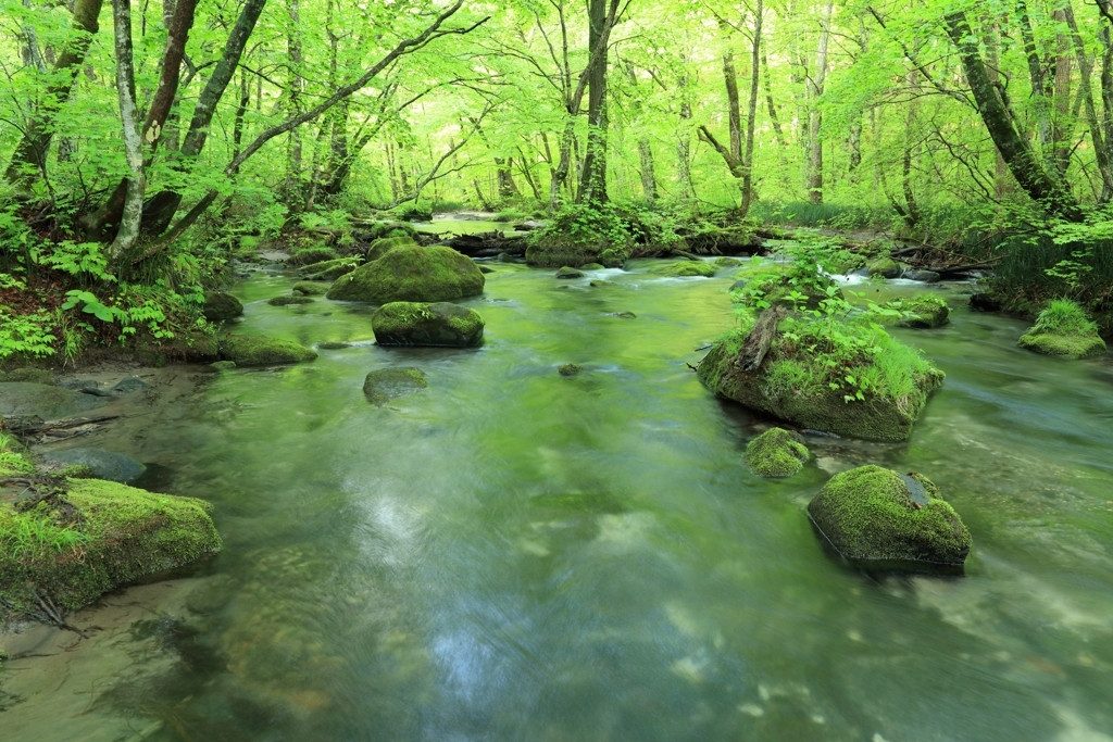 みちのく旅に、温泉は欠かせない！4242178
