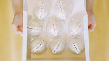 宿泊施設の地図 / 7