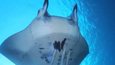 スポーツ設備 / 1