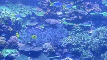 観光スポット / 13