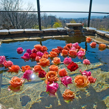 優美なアンティーク家具にうっとり。客室露天風呂のバラ風呂3643594