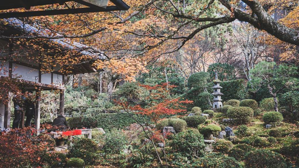 三千院 紅葉 / 3