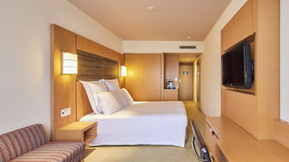 Swiss Advantage Room ルーム キングベッド 1 台