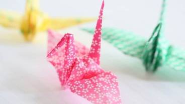 客室の設備とサービス / 18