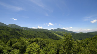 和洋室 スーペリアルーム 専用バスルーム付