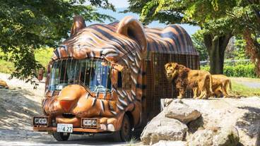 観光スポット / 32