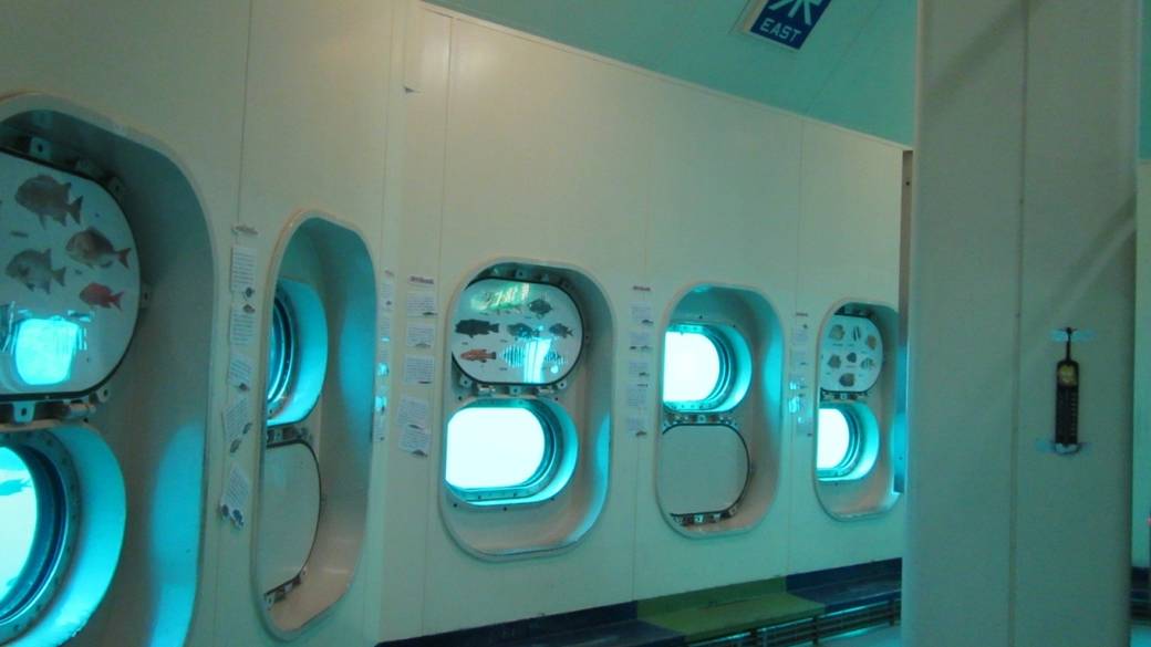 水深8mの海中を観察
「かつうら海中公園」 / 4