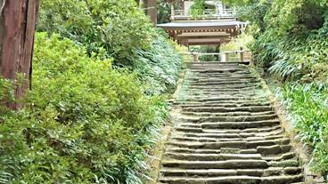 観光スポット / 14