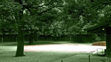 施設からの眺望 / 14