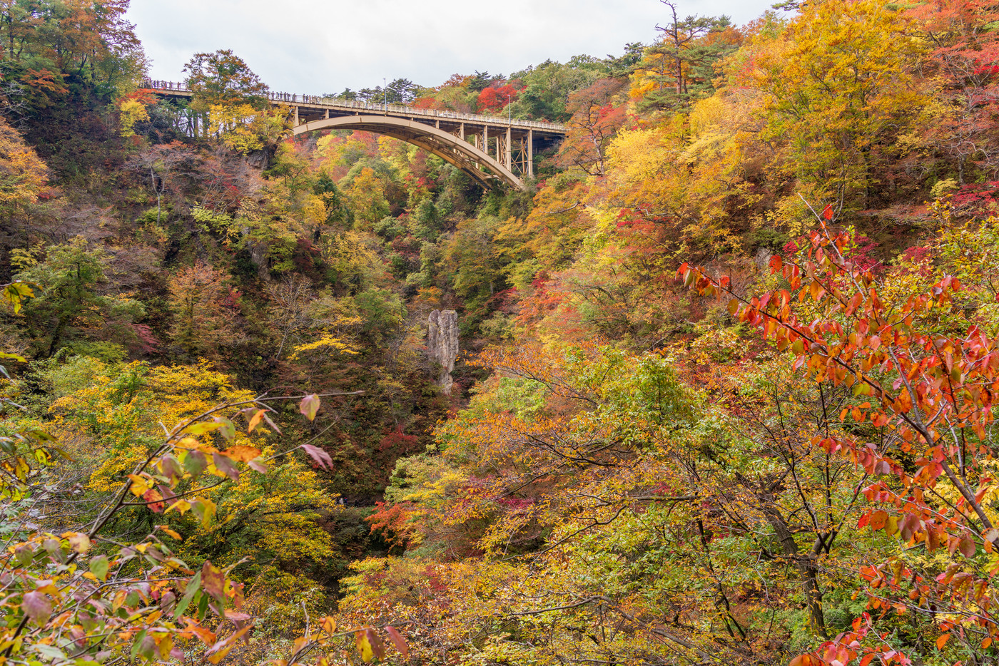 (宮城県)鳴子峡・大深沢橋の紅葉 見頃