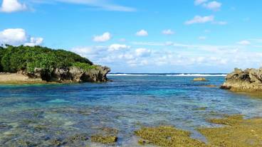 ランド ビュー / 7