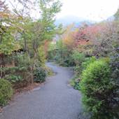 開花亭 全室露天 内湯付き離れの宿（大分県 旅館） / 3