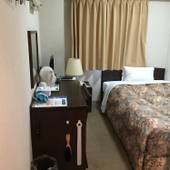 ホテルクラウンヒルズ富山 桜町（BBHホテルグループ）（富山県 ビジネスホテル） / 5