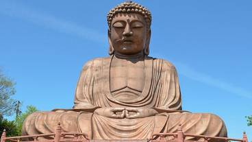 シティ ビュー / 19