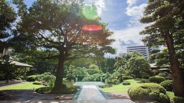 庭園 / 30
