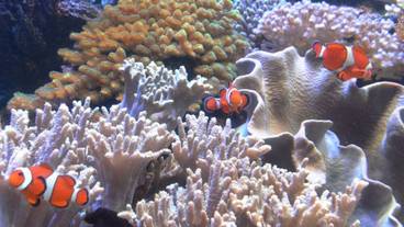 観光スポット / 6