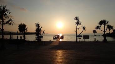 バルコニーからの眺望 / 35