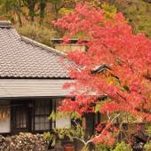黒川温泉 源流の宿 帆山亭(離れ宿)(熊本県 旅館) / 2