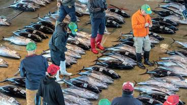 観光スポット / 8