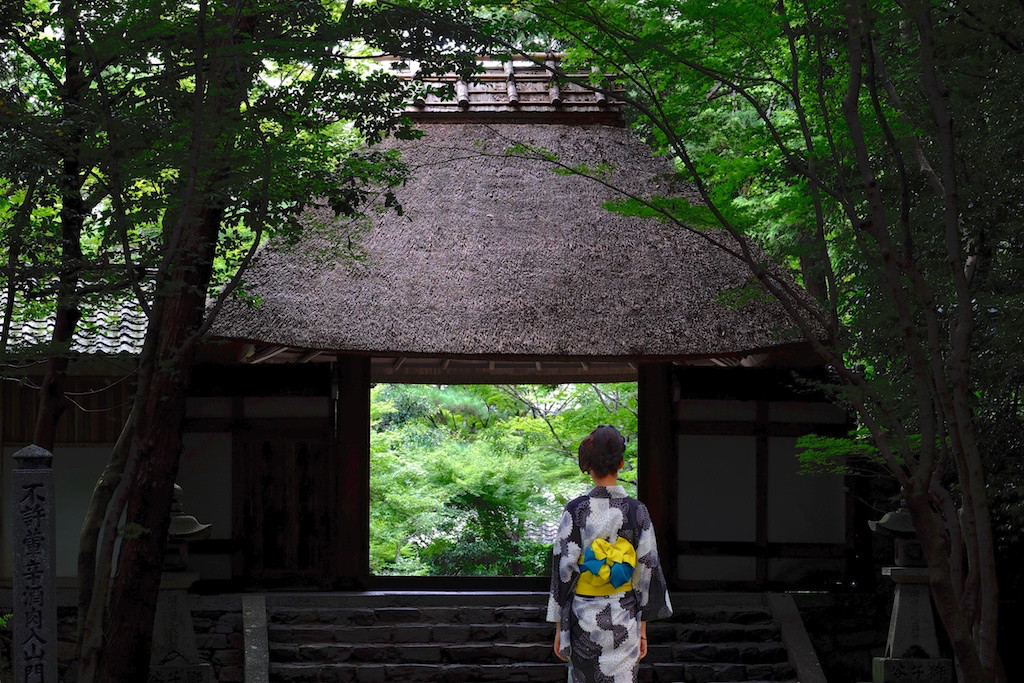 初夏～夏は京都の穴場シーズン！3631373