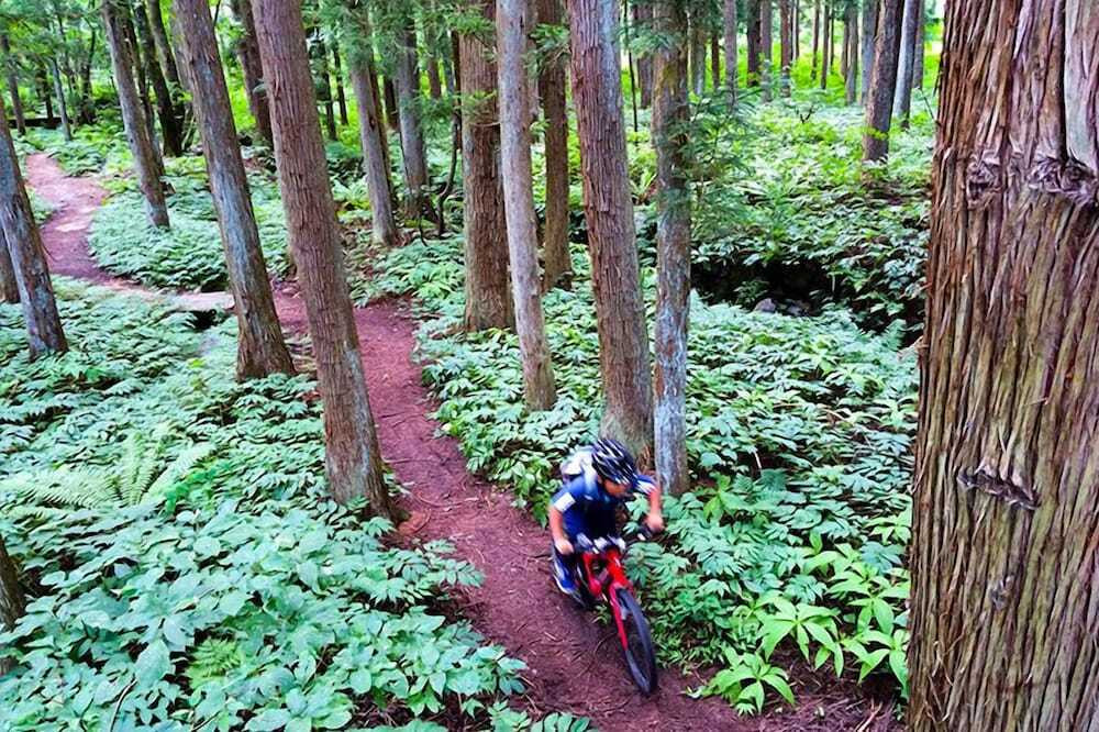 自転車