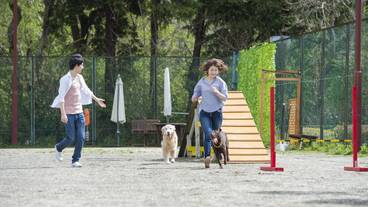 ペット用設備・サービス / 4