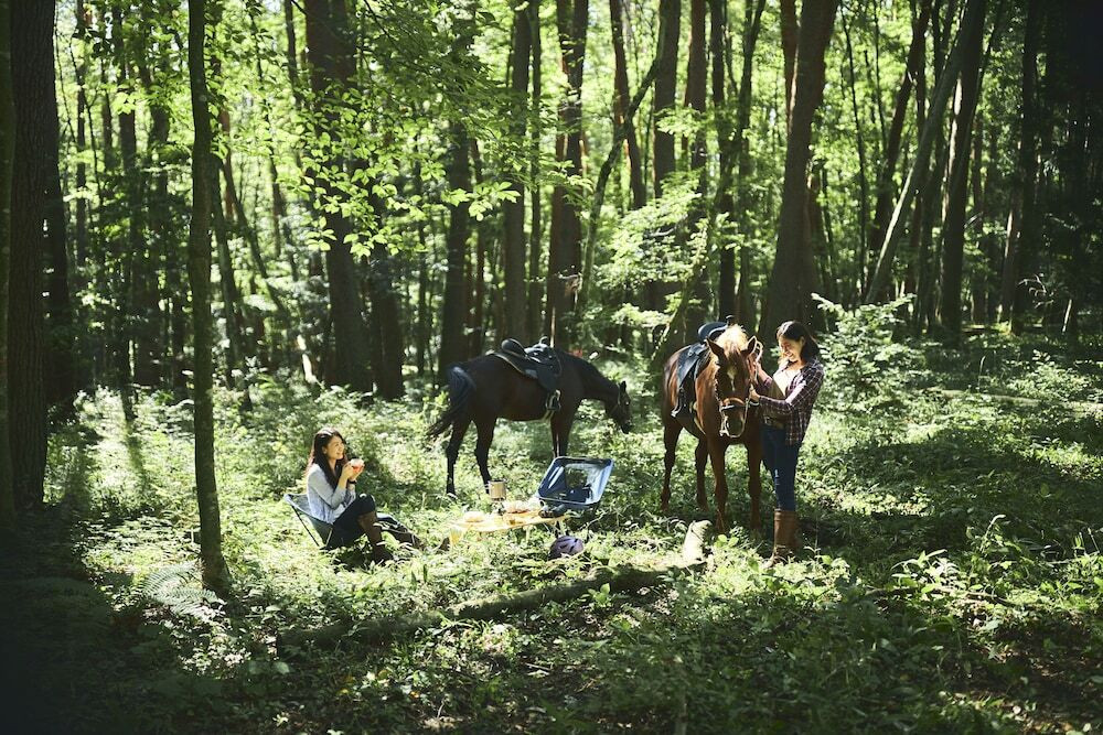 非日常の体験がカップルを親密にしてくれる3946253
