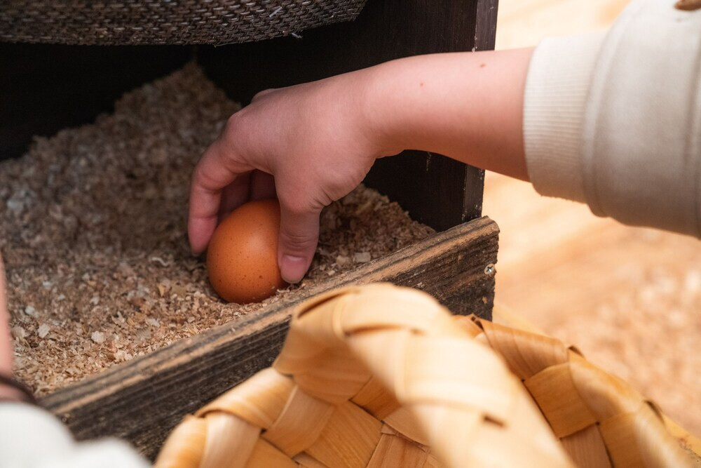 子供向けアクティビティ