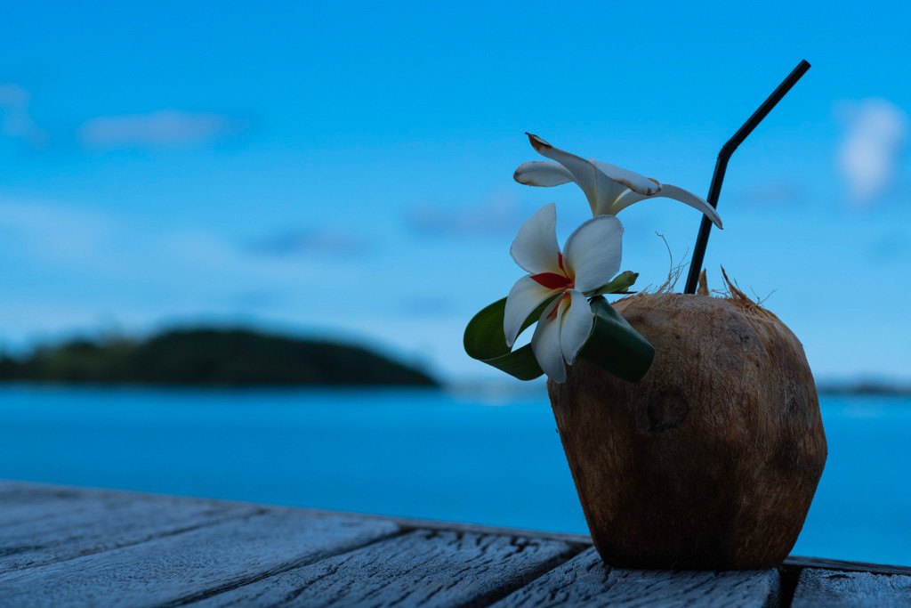 見ているだけで楽しい！妄想が広がるゴージャス貸別荘3547356