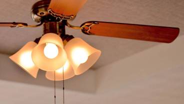 客室の設備とサービス / 12