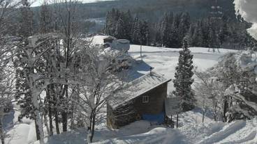 部屋からの景観 / 10