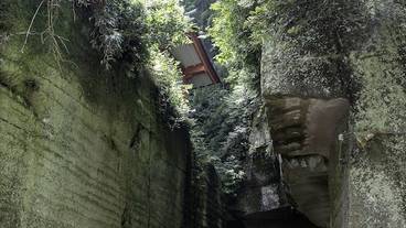 施設の敷地 / 19